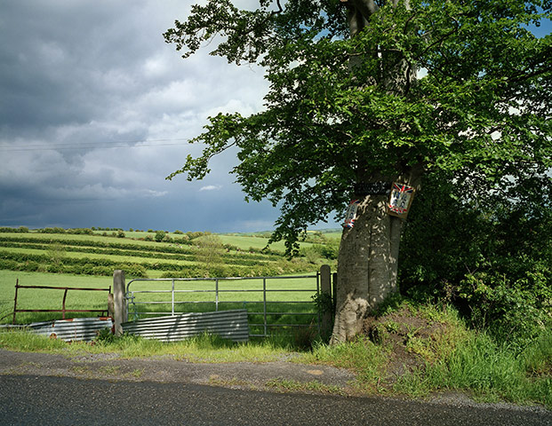 Whitechapel Gallery: Unionist Posters on Tree, County Tyrone, 1985