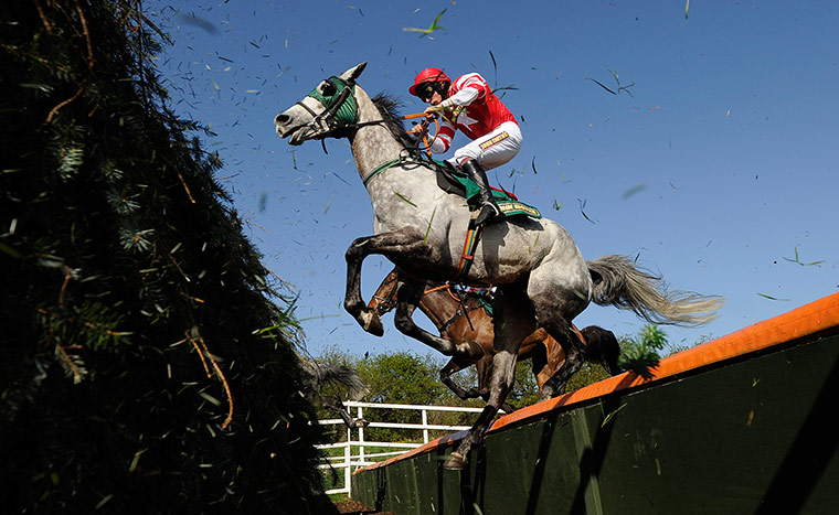 Aintree day two: Alfa beat 1