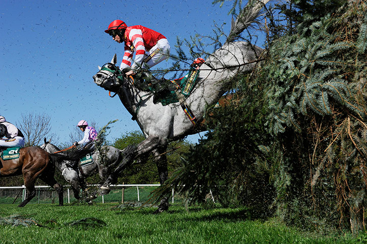 Aintree day two: Alfa beat 2