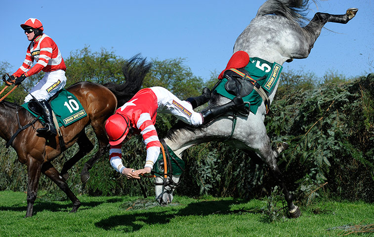 Aintree day two: Alfa beat 4