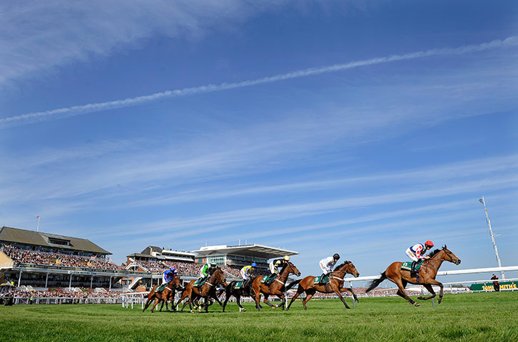 Grand National: Runners in the first race pass the stands