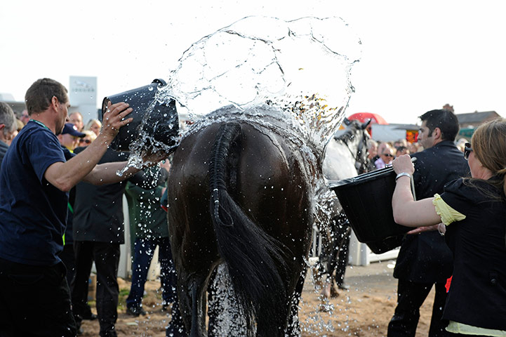 Grand National: Ballabriggs gets water on him as he is led to the stables to recover