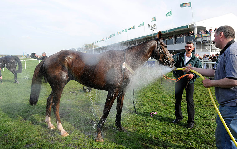 Grand National: Santa's Son gets sprayed with water to cool down 
