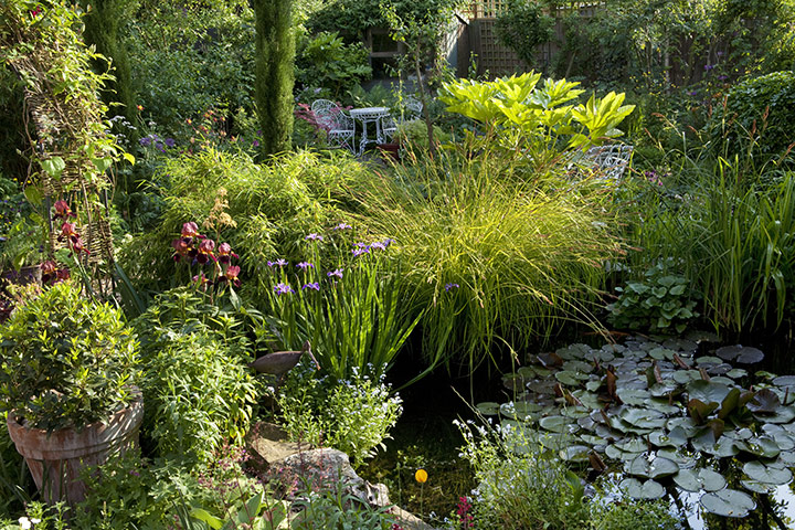 Gardens: Urban Idyll: Urban idyll 2