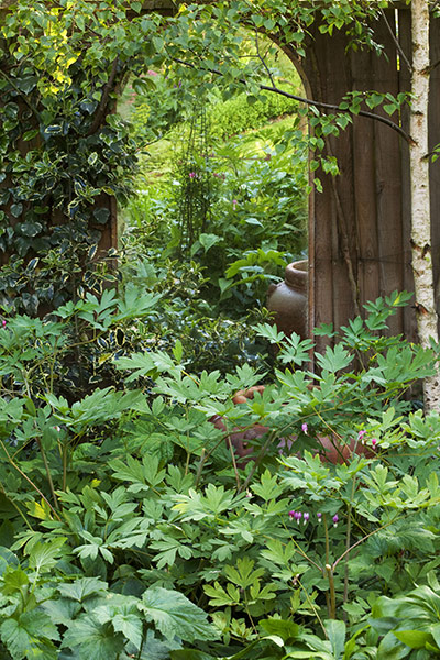 Gardens: Urban Idyll: Urban idyll 6