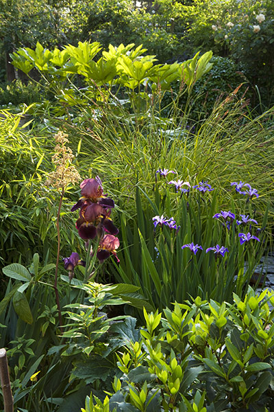 Gardens: Urban Idyll: Urban idyll 7