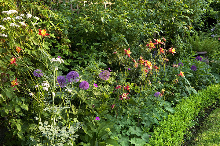 Gardens: Urban Idyll: Urban idyll 8