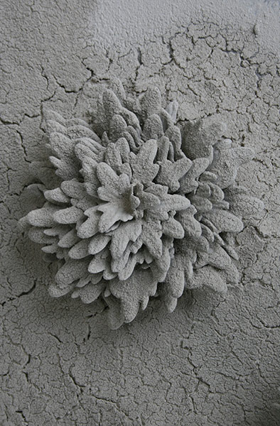 Exhibitionist1405: Down There Among the Roots