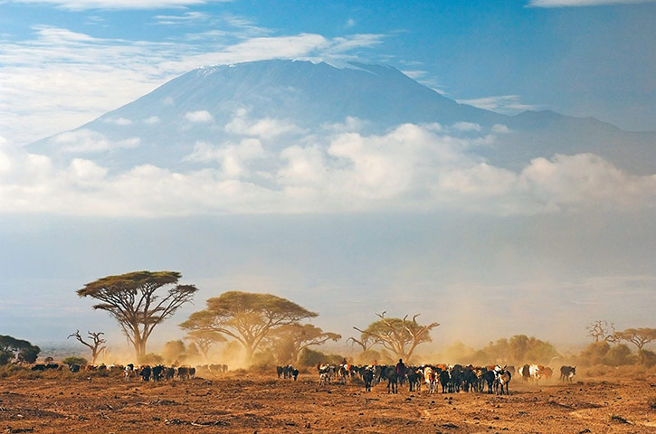 Disappearing world: Masai herdsmen with Kilimanjaro looming on the horizon.