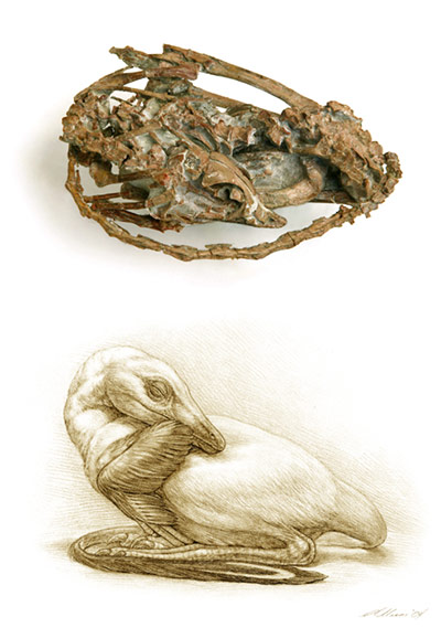 Dinosaur City: Dinosaur discoveries in China