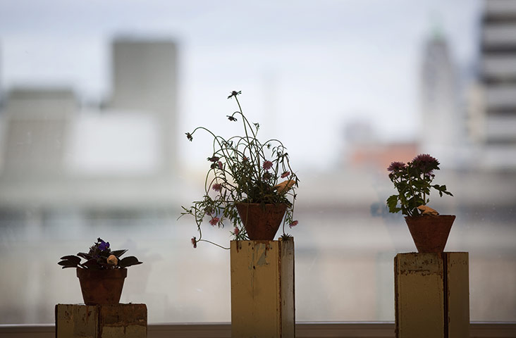 Emin at Hayward: Emin at Hayward