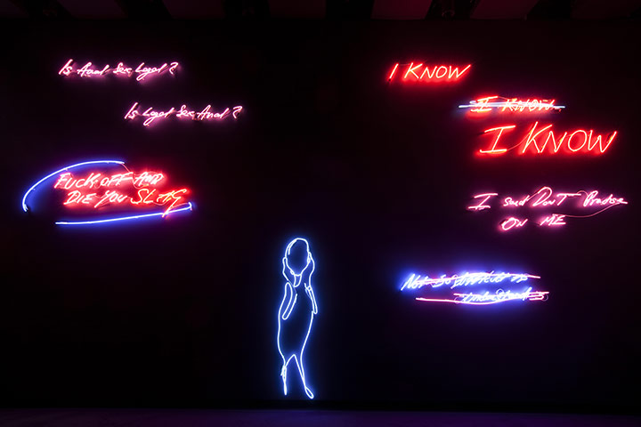 Emin at Hayward: Emin at Hayward