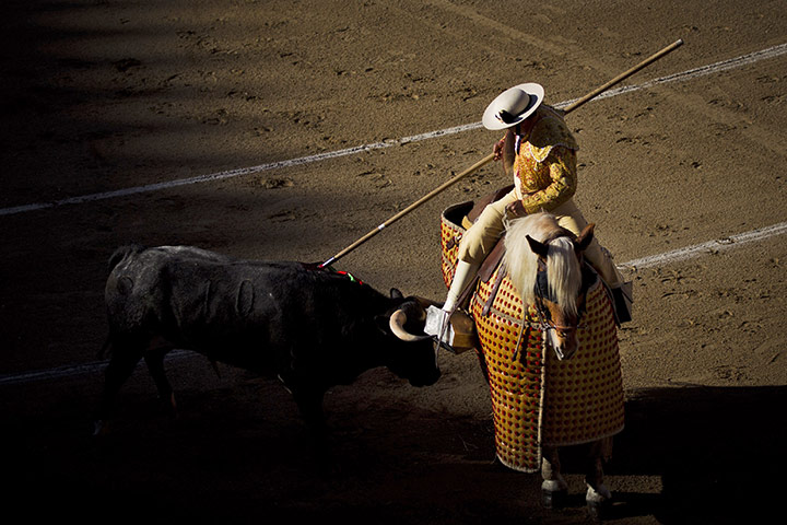 24 hours in pictures: A picador performs during a bullfight of the San Isidro's fair, Madrid