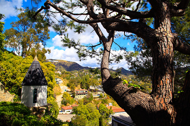 Week in pics: Moby: a tree, a turret and the Hollywood sign