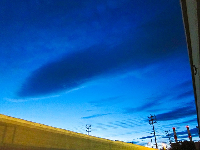 Week in pics: Moby: parking lot