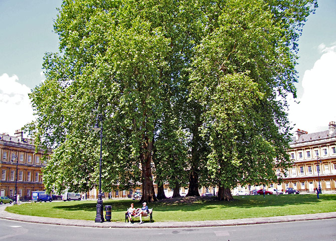 Roundabout Idol: Bath Roundabout