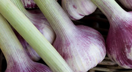 Garlic-Bulbs-001.jpg