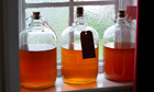 Homebrew from the hedgerow: nettle beer