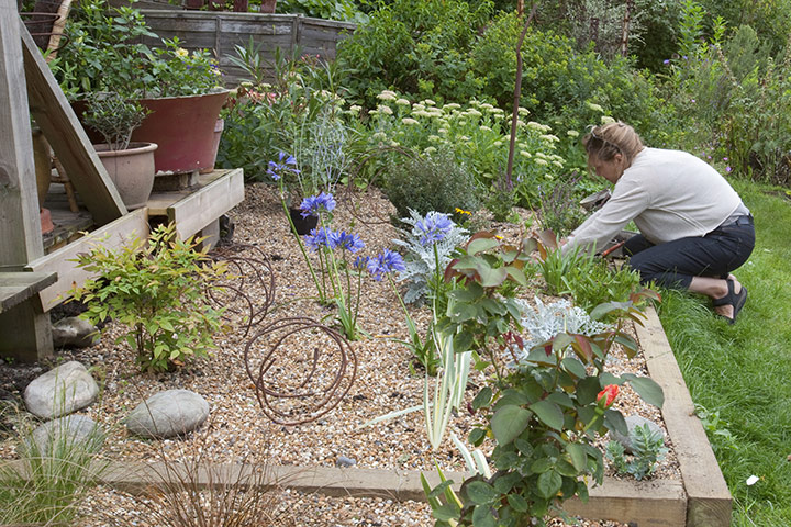 Gardens: Plot art: Gardens: Plot art 10