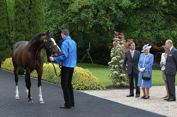 Queen in Ireland: Horse being viewed by Queen Elizabeth and Prince Philip