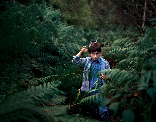 Léonie Hampton: Bracken and feathers, 2004