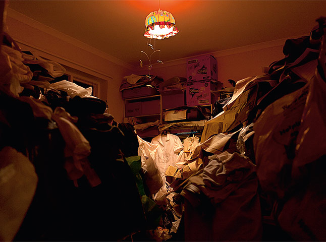 Léonie Hampton: The Yellow Room, 2009