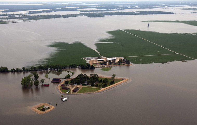 Mississippi floods: The Yazoo River floods farms and homes near Yazoo City, Mississippi