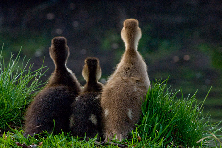 Camera club winner: Camera club spring assignment winner Chris HUffee