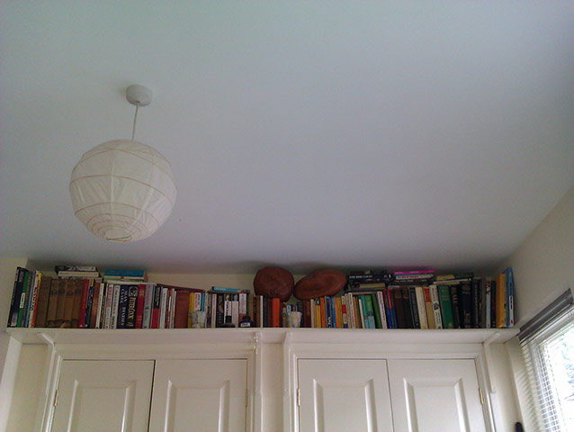 My Bookshelves 2: My Bookshelves 2