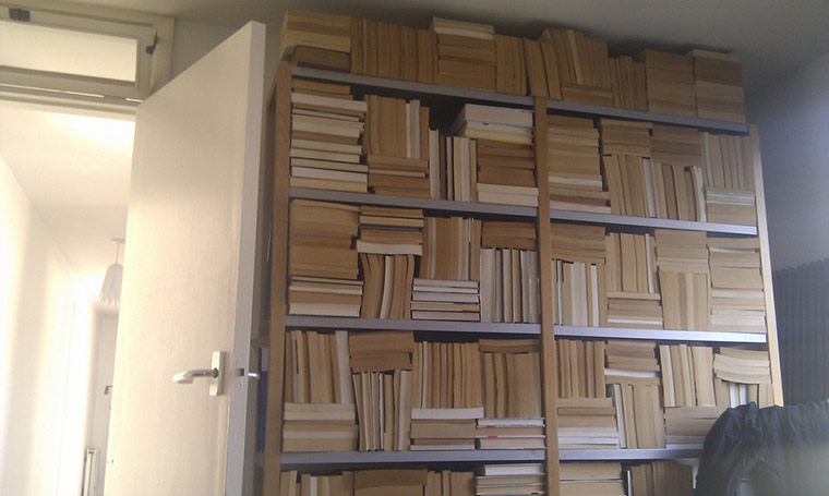 My Bookshelves 2: My Bookshelves 2