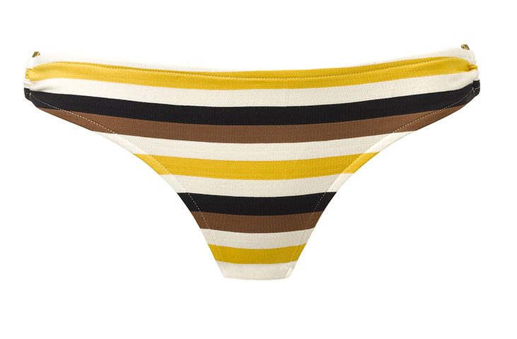 Bikini: Whistles Biniki Briefs