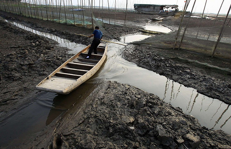 Drought in China: Honghu Lake in Luoshan county, Hubei province