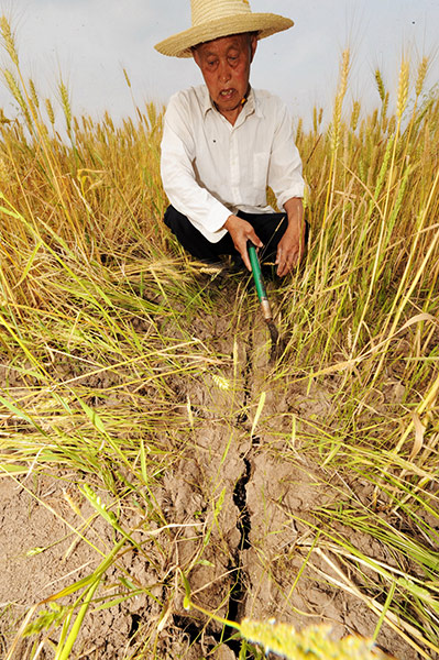 Drought in China: Yueyang City, central China's Hunan Province