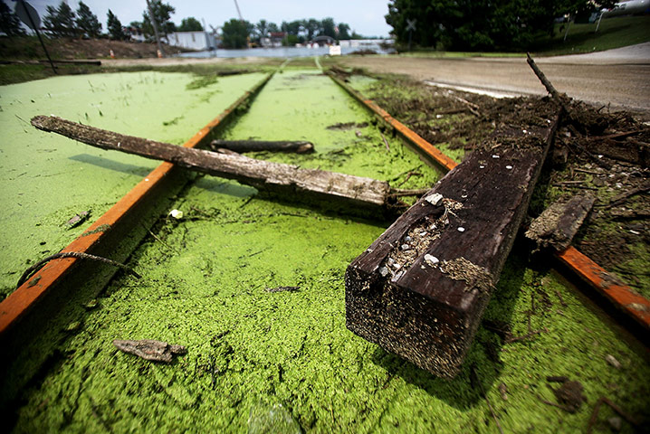 FTA Mario Tama: Driftwood is left behind along railway tracks after floodwaters receded