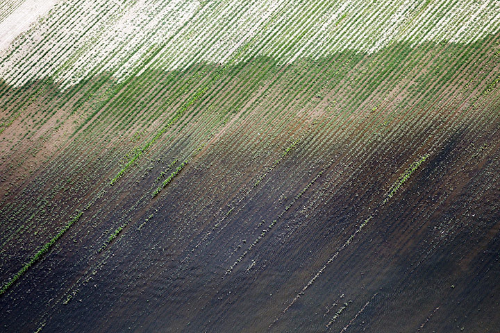 FTA Mario Tama: The Yazoo River floodwaters inundate crops near Yazoo City 