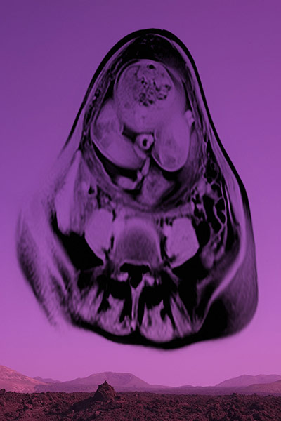 Exhibitionist 28/05: Josephine Pryde