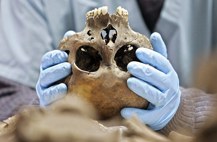 Ratko Mladic: A forensic expert holds a skull at the ICMP centre near Tuzla