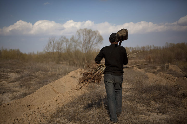 Desertification in China: Inner Mongolia is fighting severe desertification