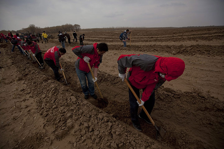 Desertification in China: Inner Mongolia is fighting severe desertification