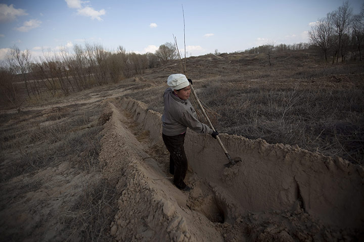 Desertification in China: Inner Mongolia is fighting severe desertification