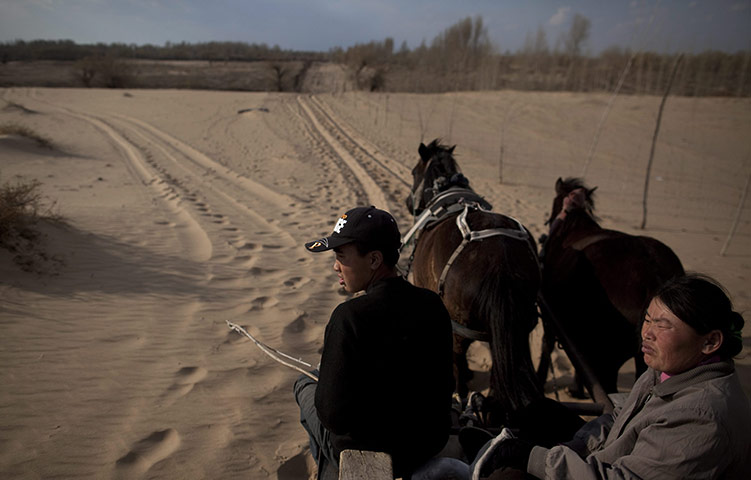 Desertification in China: Inner Mongolia is fighting severe desertification