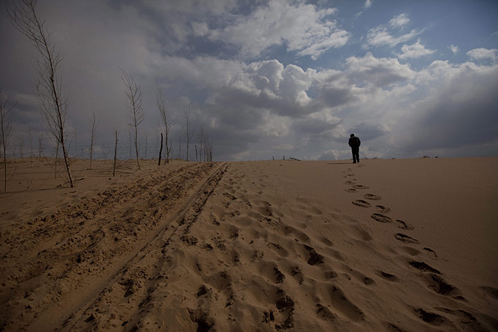 Desertification in China: Inner Mongolia is fighting severe desertification