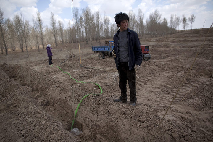 Desertification in China: Inner Mongolia is fighting severe desertification