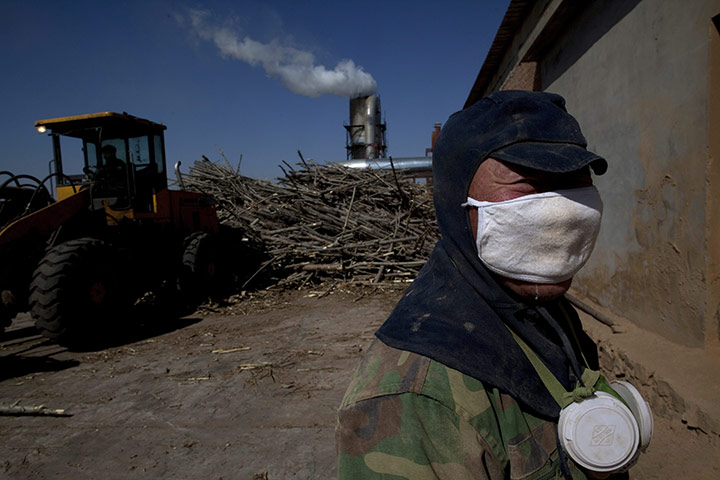 Desertification in China: Inner Mongolia is fighting severe desertification