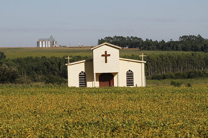 Deforestation for soybean: Atlantic forest in Alto Parana, Paraguay