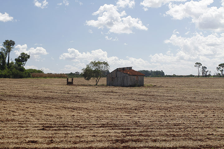 Deforestation for soybean: Alto Parana, Paraguay