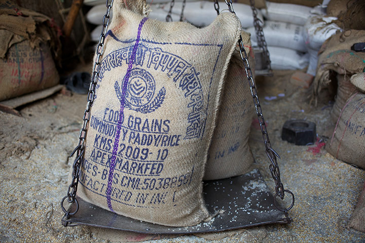 Hunger and food security: Hunger & Food Security in India