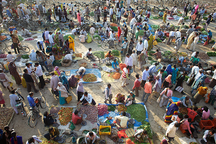 Hunger and food security: Hunger & Food Security in India