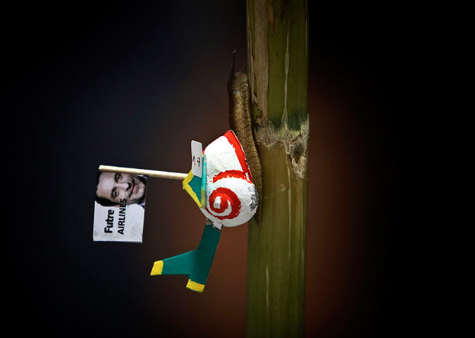 24 hours in pictures: Snail Grand Prix in Figueira da Foz, Portugal