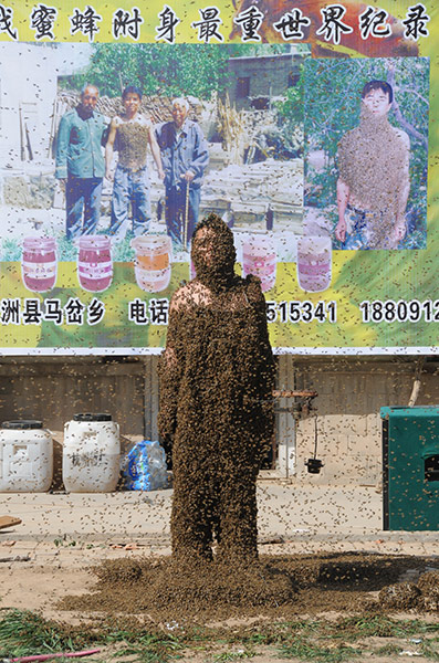 Bee suit: Zhang Wei after the challenge